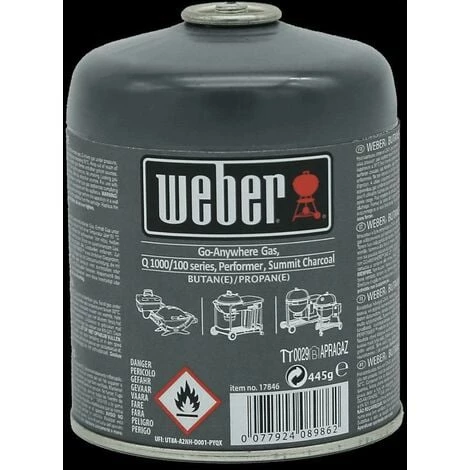 Cartouche De Gaz Weber Compatible Avec Le Q 100/1000 17846